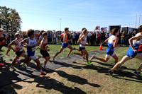 Boys D2 Cross Country 11-4-23 dt 012